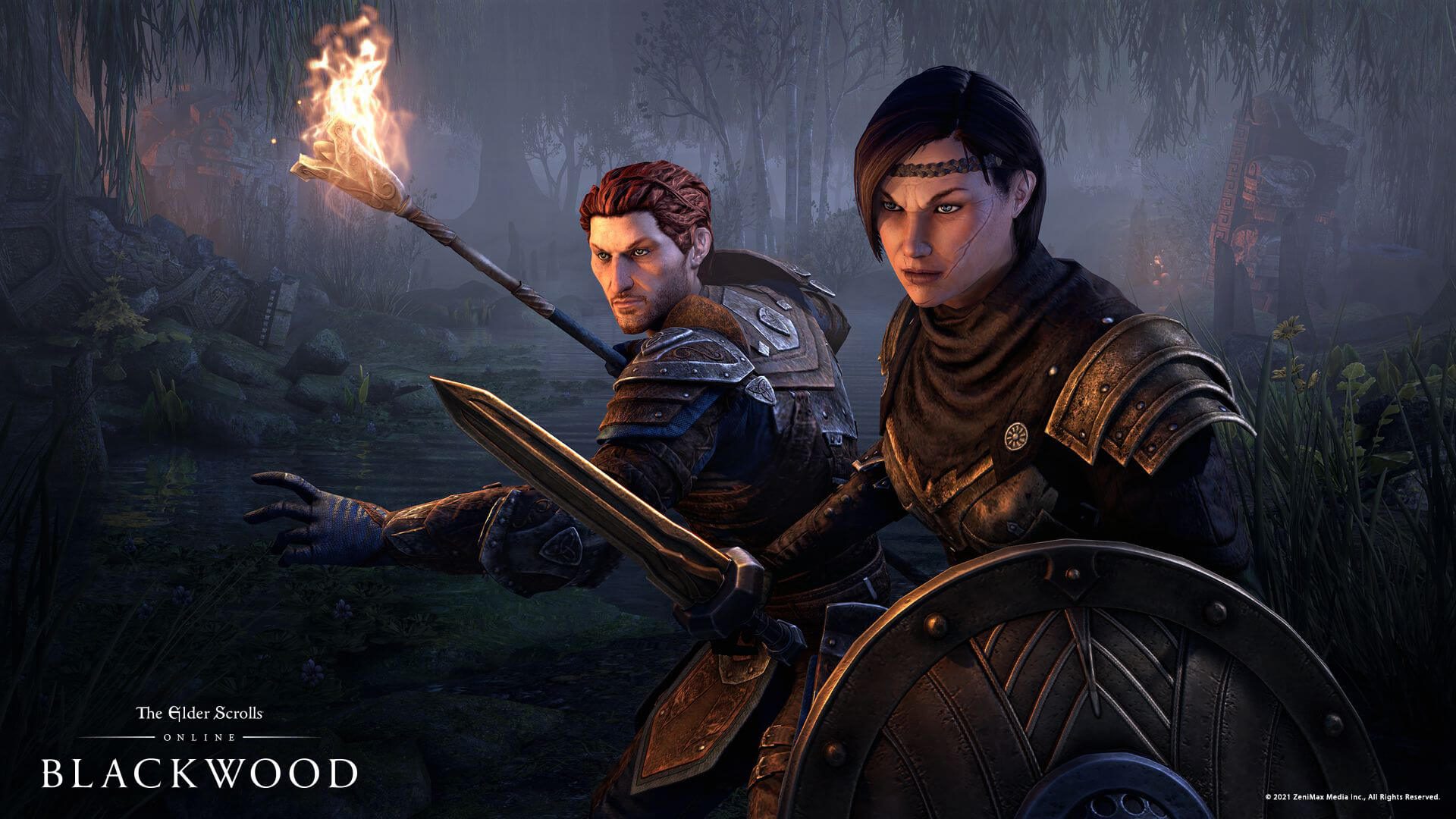 The Elder Scrolls Online - Dos aventureros con espada y escudo avanzando por un pantano en Blackwood