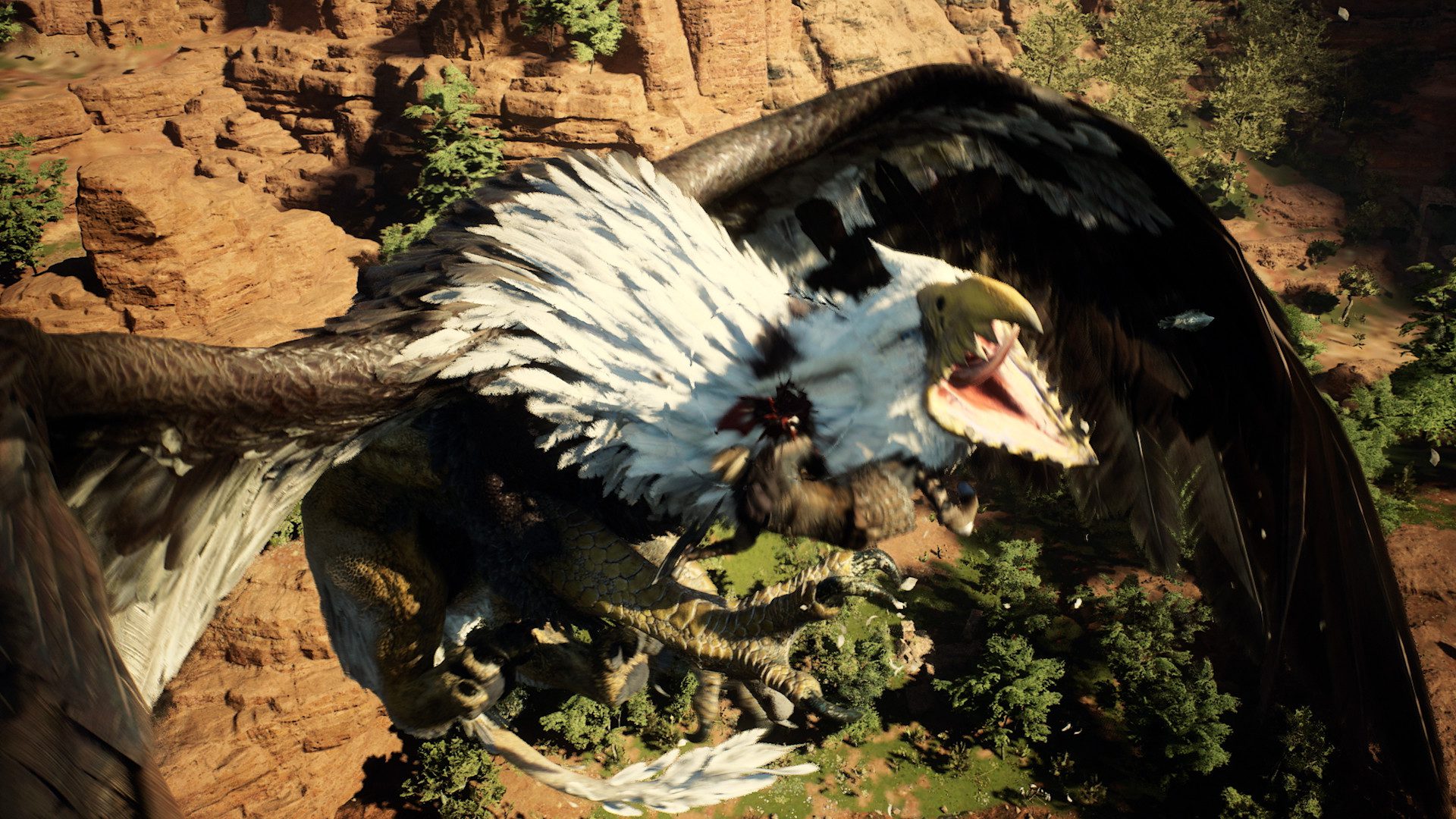 Dragon's Dogma 2 - combate contra un enemigo de gran tamaño en campo abierto