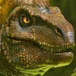 Ark Survival Ascended ()