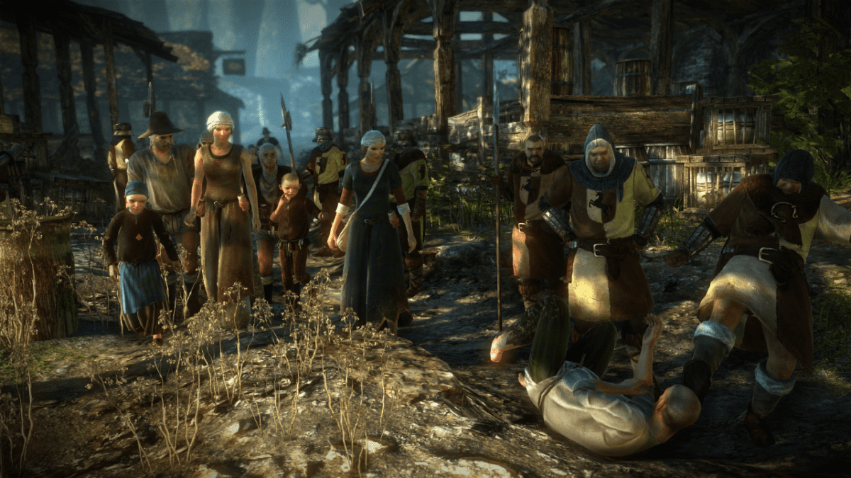 The Witcher Assassins of Kings