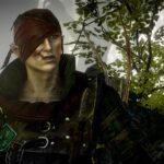 The Witcher Assassins of Kings