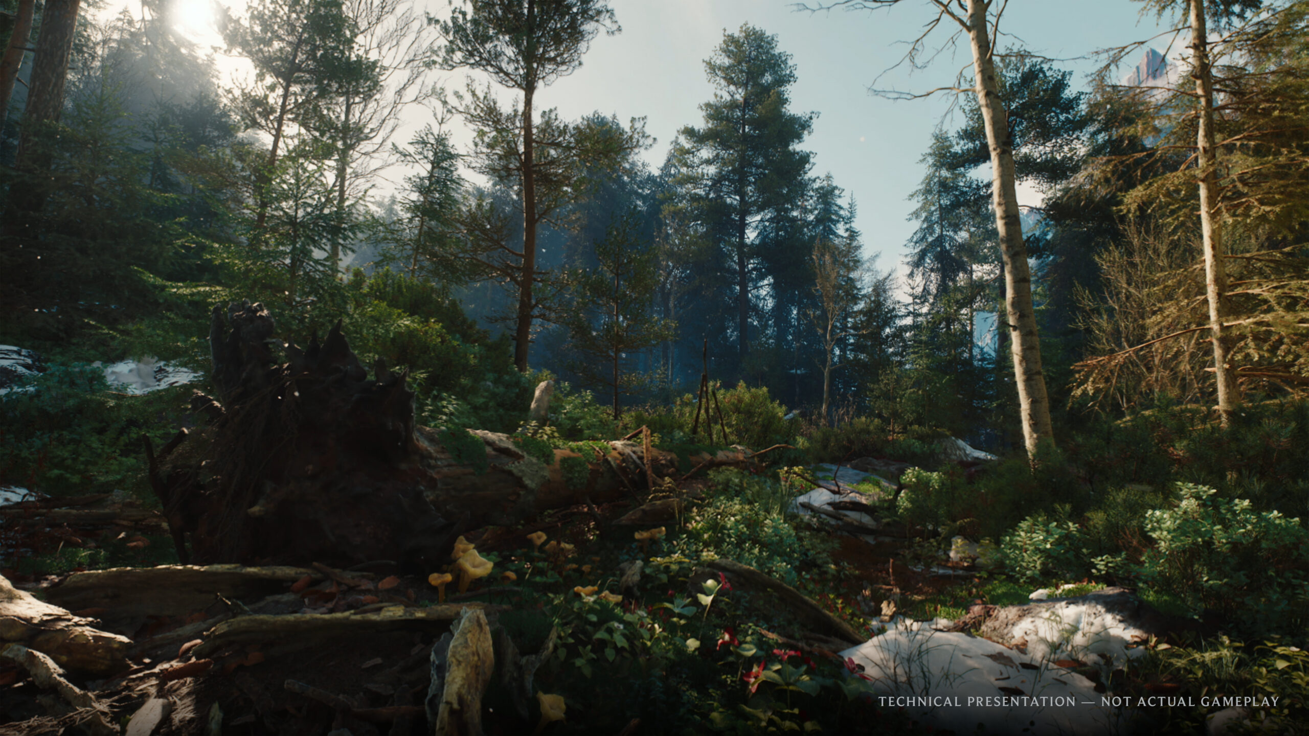 The Witcher 4 - Escena de bosque con iluminación dinámica en Unreal Engine 5 - Juegosrpg.com